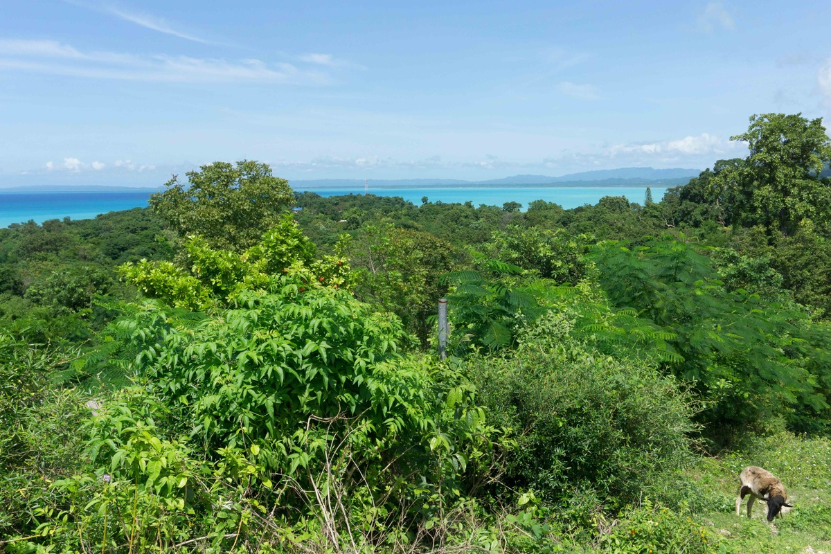 view of green hills and turquoise sea at bluefields organic farm jamaica